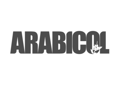 diseño de pagina-web-arabicol pereira