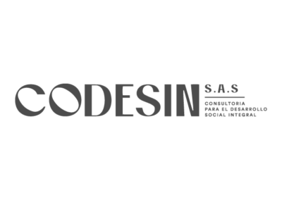 disñeo de pagina-web-codesin pereira